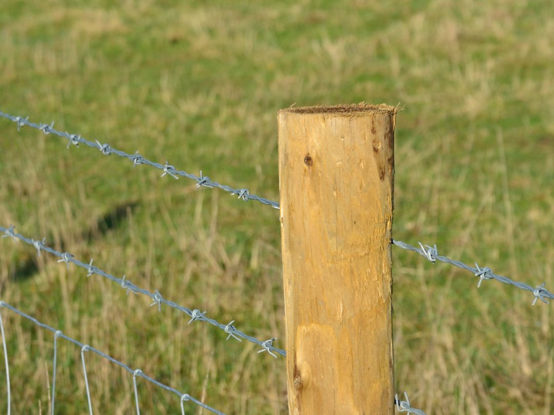 Round wooden fence post with barbed wire strands