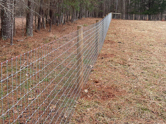 Round post and woven wire farm fence through a wooded property